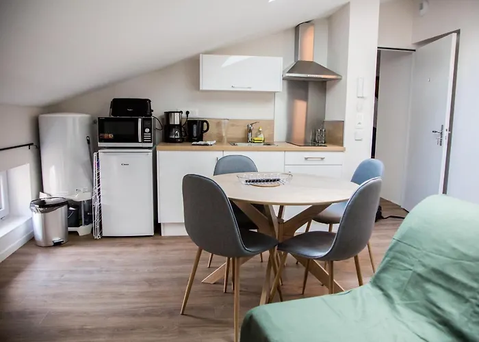 Daire Albiapppart Centre Albi