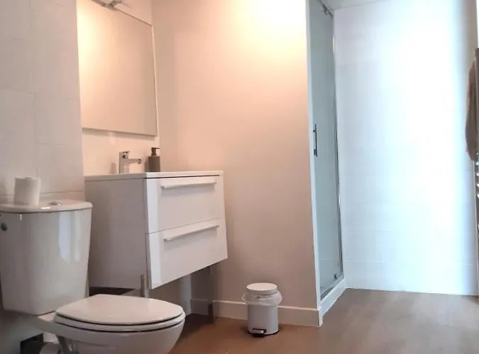 Albiapppart Centre Daire