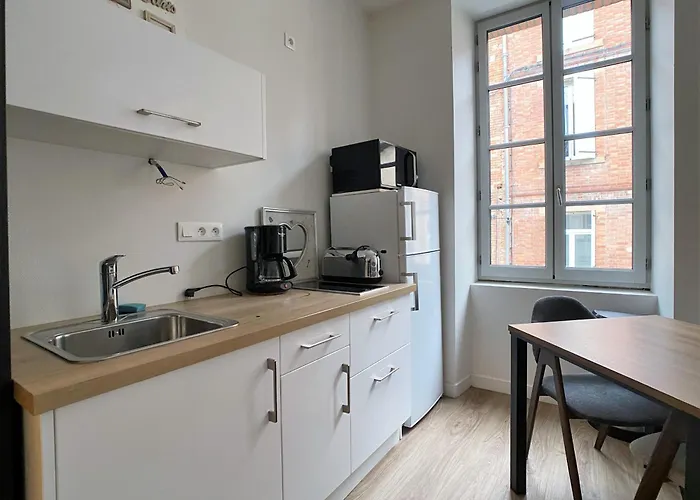 Daire Albiapppart Centre Albi