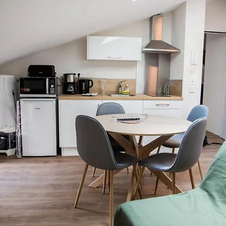 아파트 Albiapppart Centre 알비